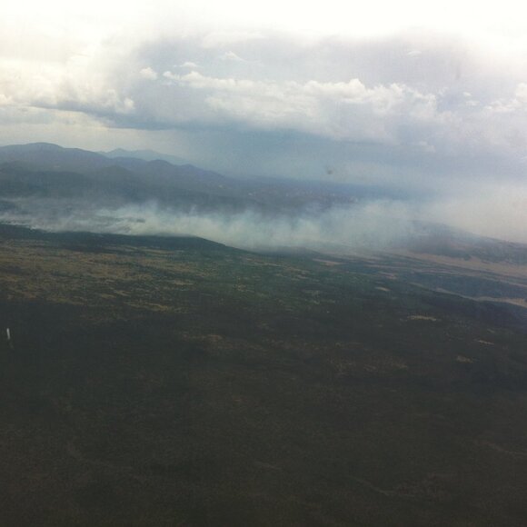 Meet your Posher, William - Picture 6 of 16